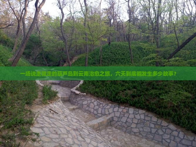 葫芦岛到云南六日游
