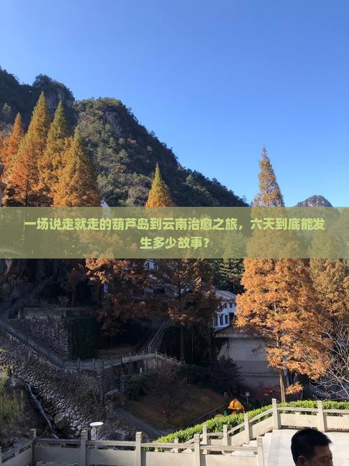葫芦岛到云南六日游