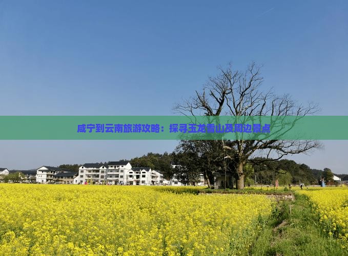 咸宁到云南玉龙雪山旅游