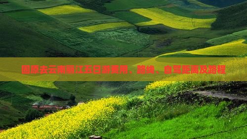 固原去云南丽江五日游