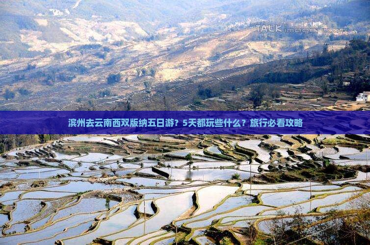 滨州去云南西双版纳五日游