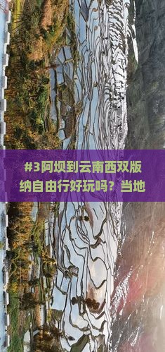阿坝去云南西双版纳自由行