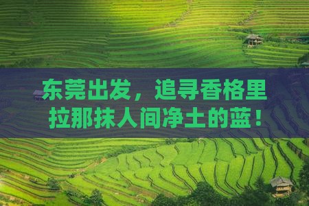 东莞到云南香格里拉攻略