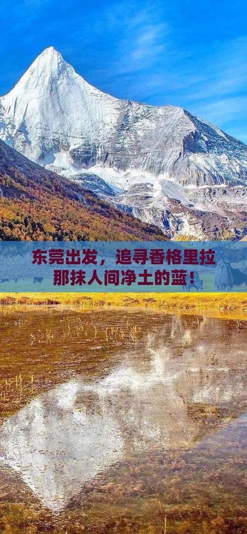 东莞到云南香格里拉攻略