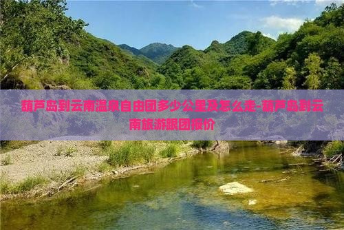 葫芦岛到云南温泉自由团