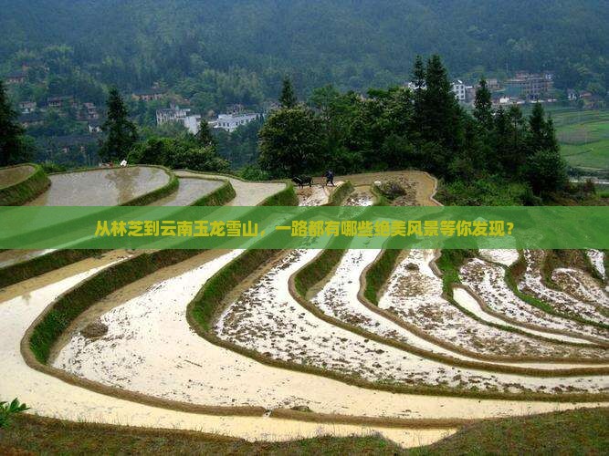林芝到云南玉龙雪山哪里玩