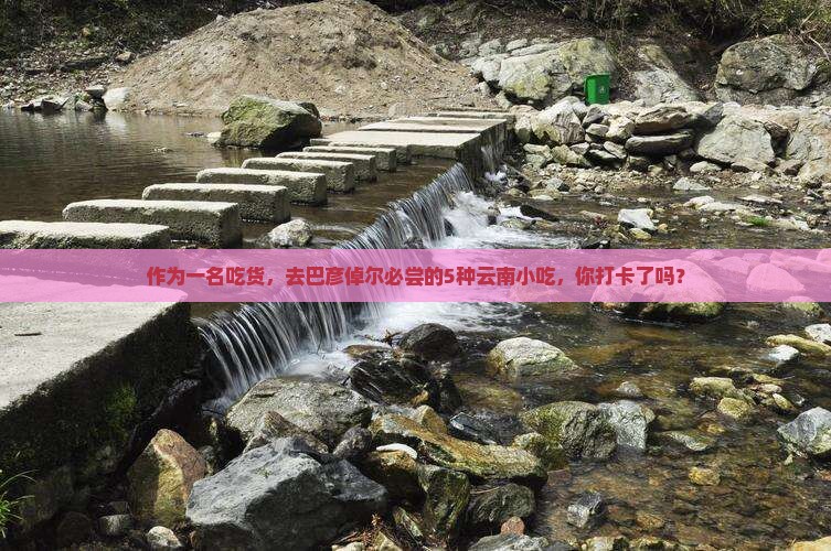 巴彦倬尔去云南旅游小吃