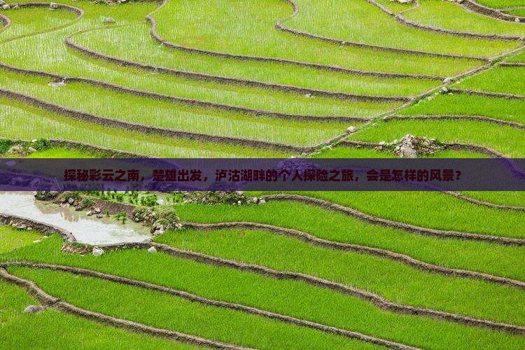 楚雄到云南泸沽湖个人游