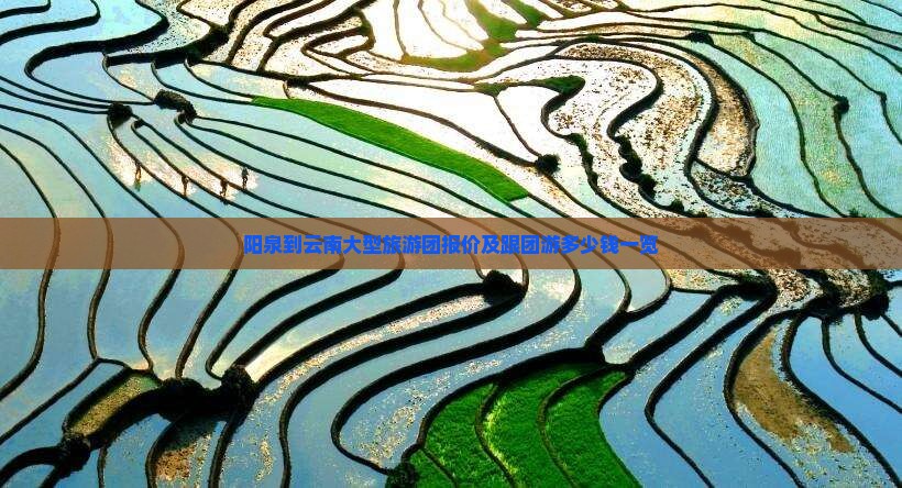 阳泉到云南大型旅游团