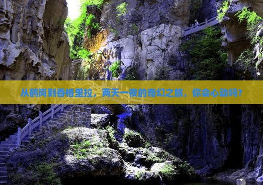 鹤岗去云南香格里拉二日游