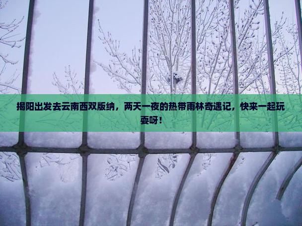 揭阳去云南西双版纳二日游