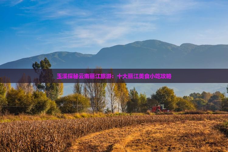 玉溪去云南丽江旅游小吃