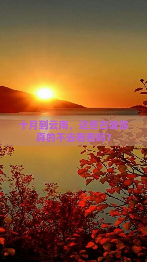 十月到云南古城必去地