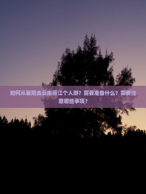 襄阳去云南丽江个人游