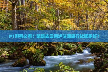 楚雄到云南泸沽湖旅行社