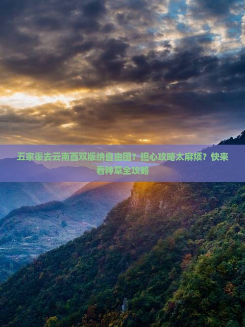 五家渠去云南西双版纳自由团