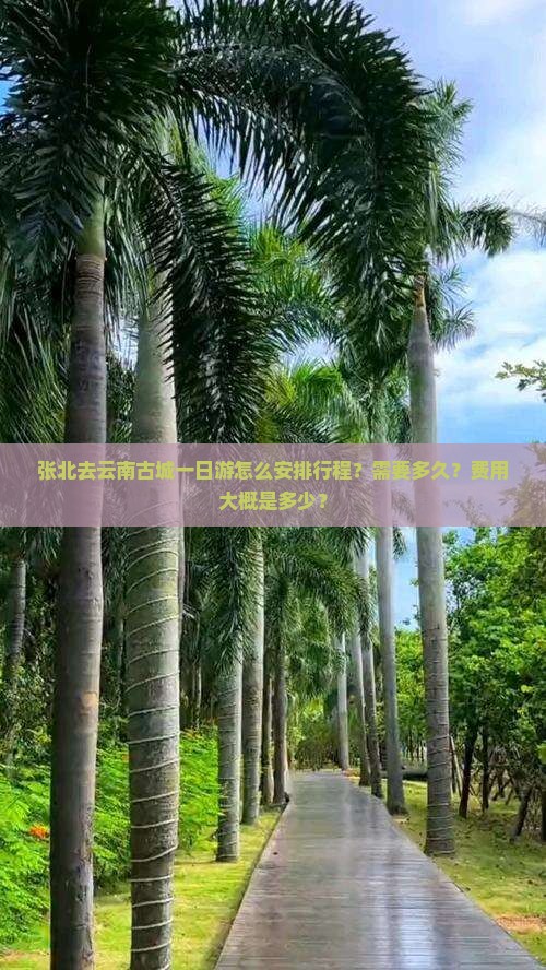 张北去云南古城一日