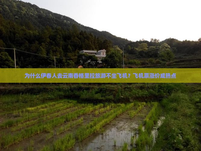 伊春去云南香格里拉旅游