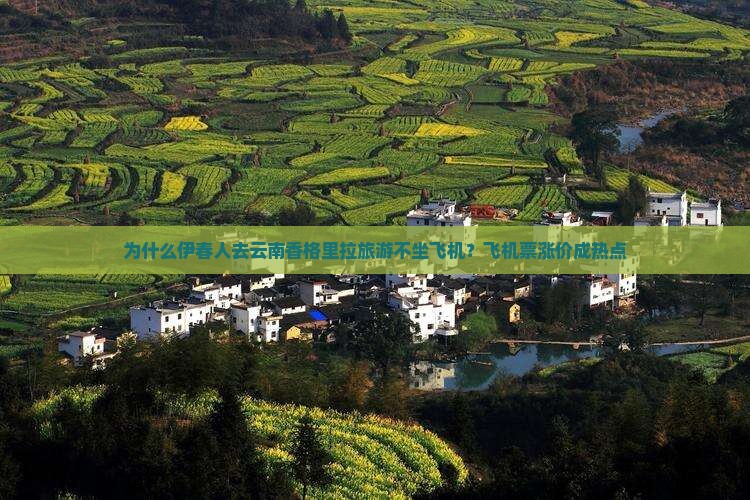 伊春去云南香格里拉旅游