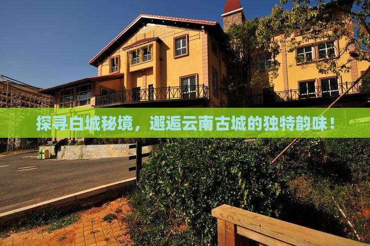 白城到云南古城景点