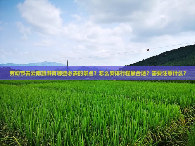 劳动节去云南攻略