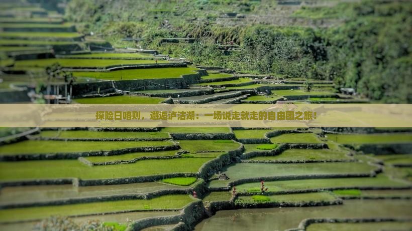 日喀则到云南泸沽湖自由团