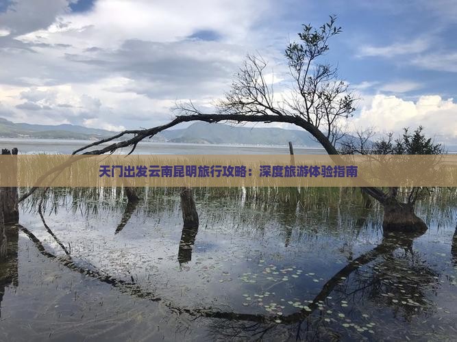 天门到云南昆明团体旅游