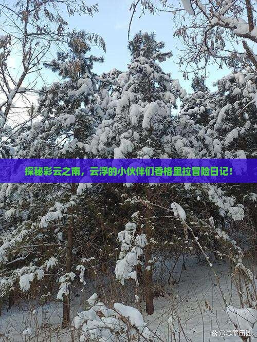 云浮去云南香格里拉团体旅游