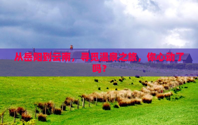 岳阳去云南温泉旅行社