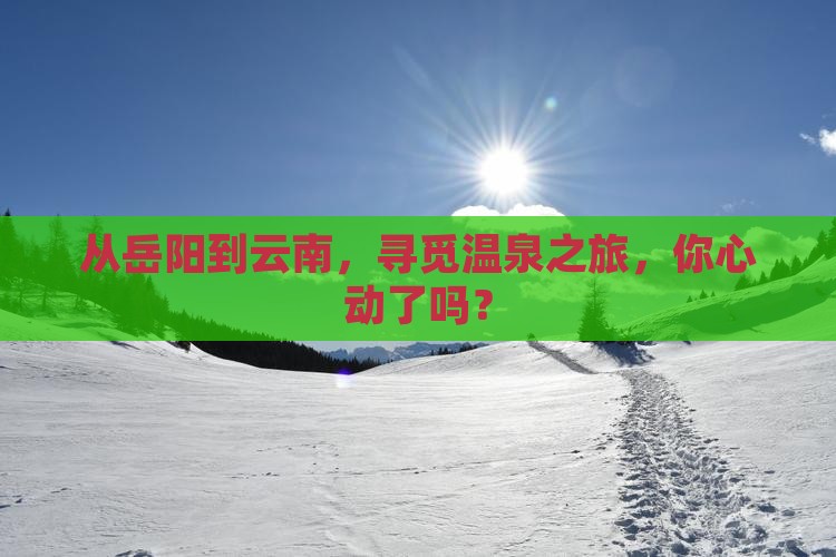 岳阳去云南温泉旅行社