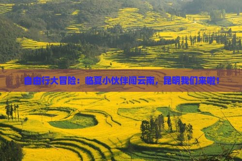 临夏去云南昆明自由团