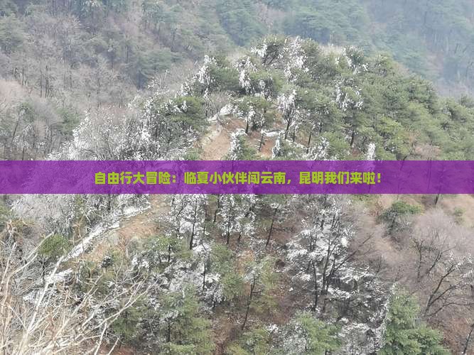 临夏去云南昆明自由团