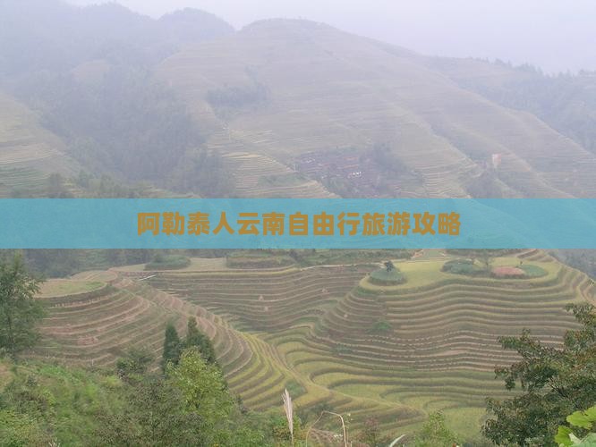 阿泰勒去云南自由行