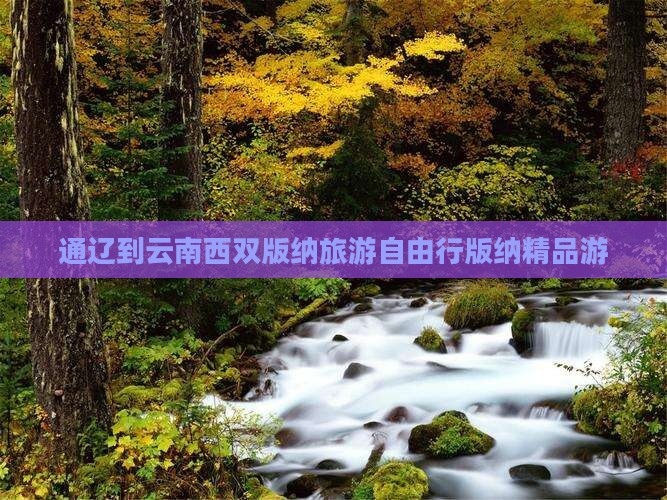 通辽市去云南西双版纳自由团