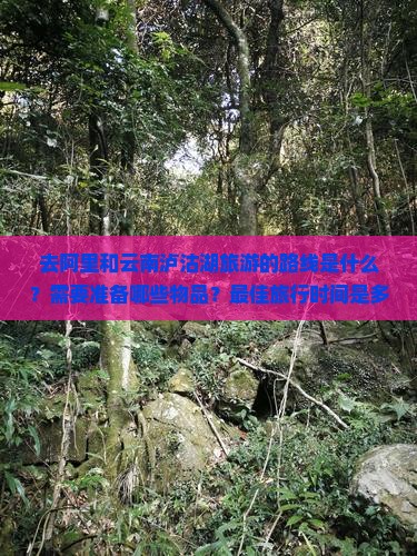 阿里到云南泸沽湖攻略