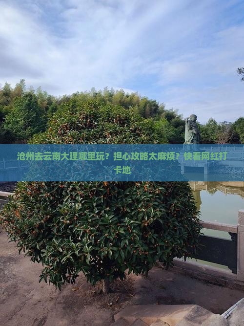 沧州去云南大理哪里玩