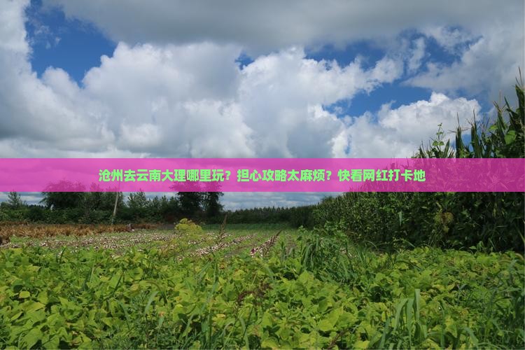 沧州去云南大理哪里玩