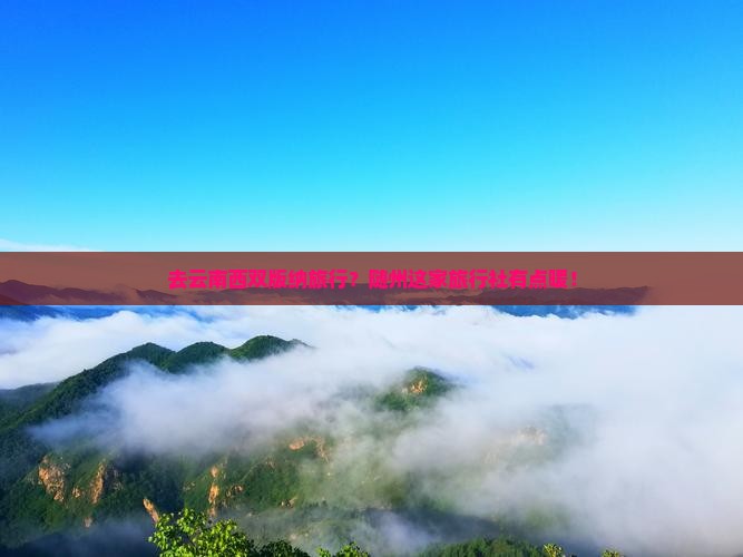 随州去云南西双版纳旅行社