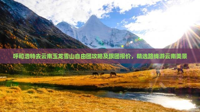 呼和浩特去云南玉龙雪山自由团