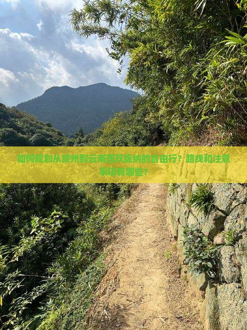 贺州到云南西双版纳自由行