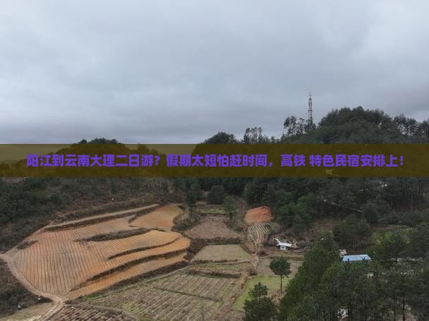 阳江到云南大理二日游