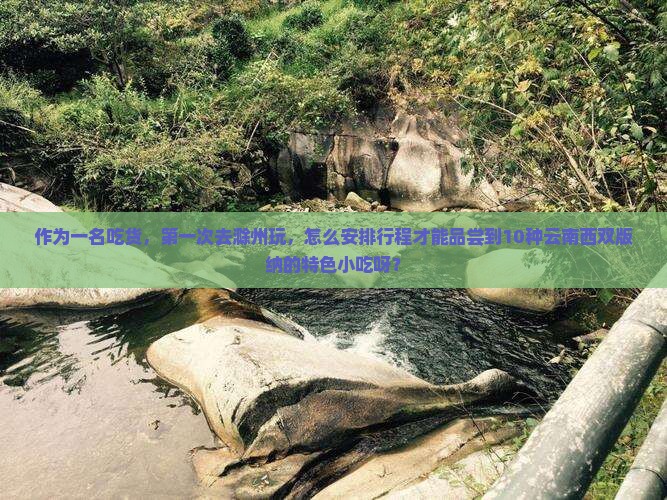 滁州去云南西双版纳旅游小吃