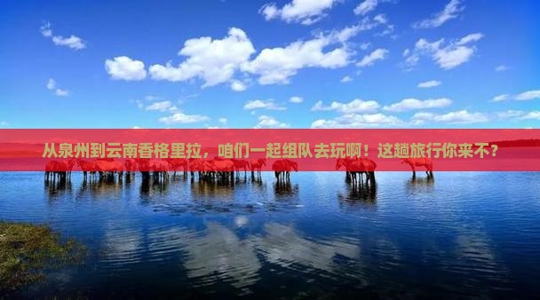 泉州去云南香格里拉团体旅游