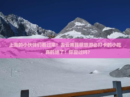 上海去云南昆明旅游小吃