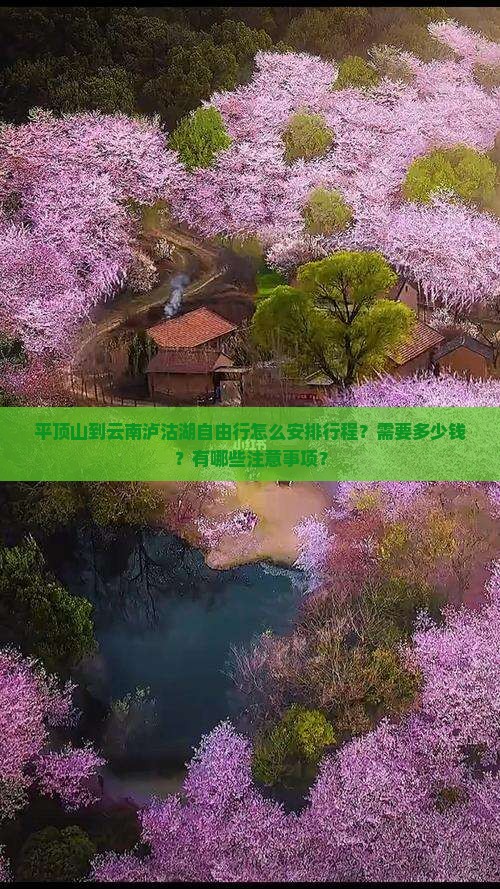 平顶山到云南泸沽湖自由行