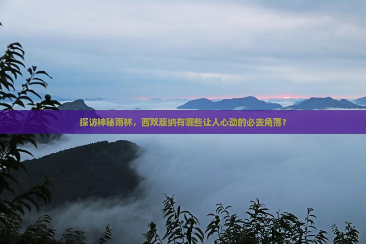 西双版纳去云南西双版纳必去地