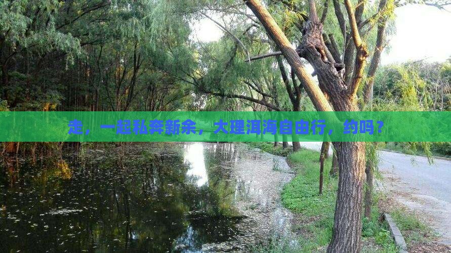 新余到云南洱海自由团