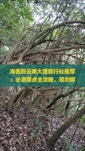 海西到云南大理旅行社