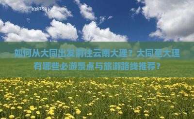 大同去云南大理景点