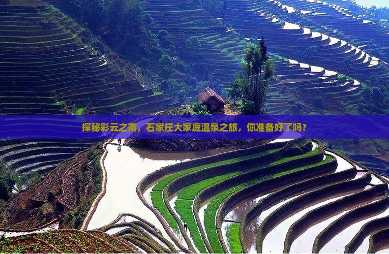 石家庄去云南温泉大型旅游团